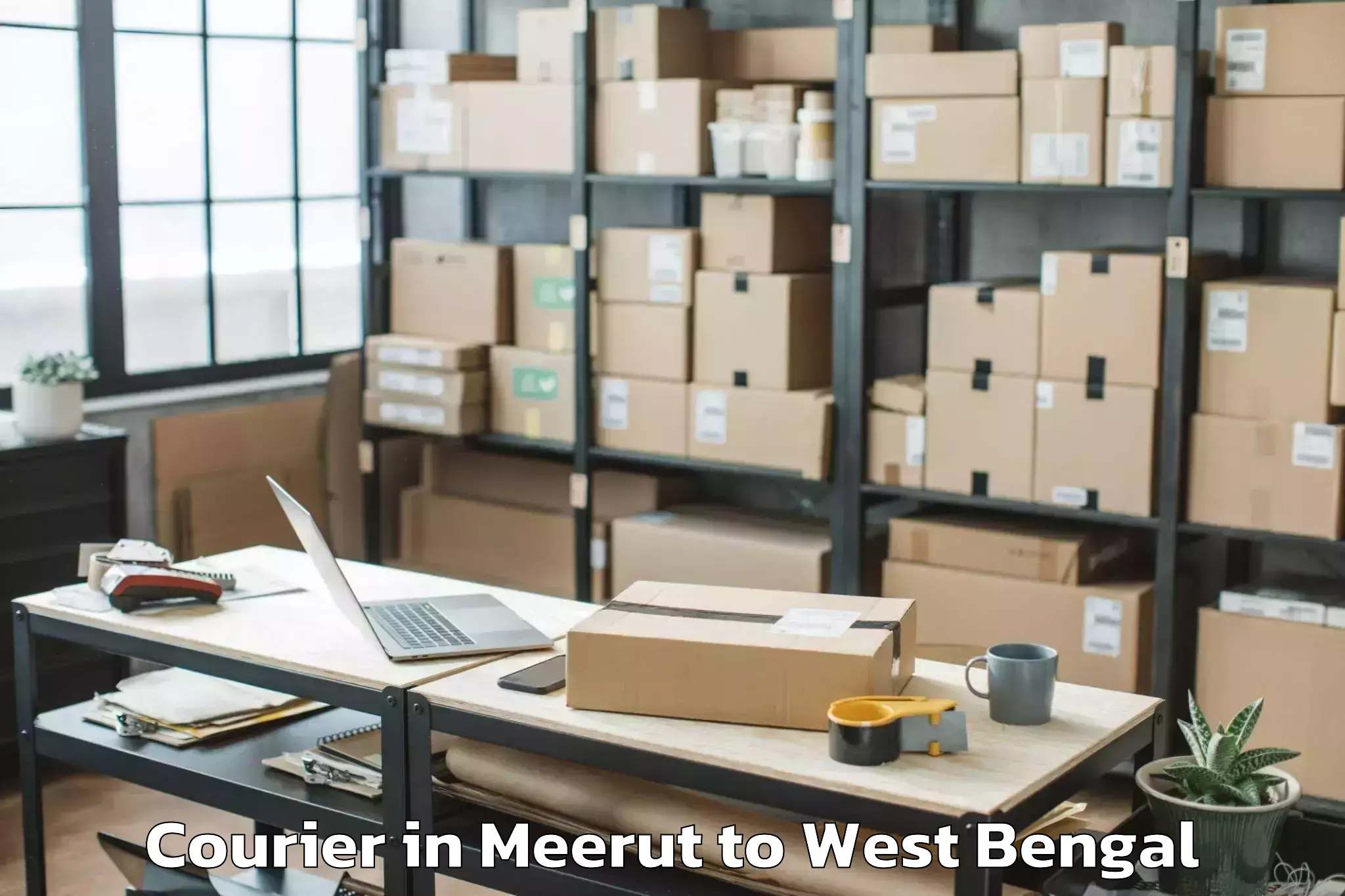 Quality Meerut to Baduria Courier